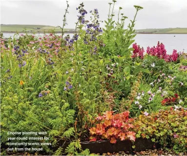 ??  ?? Choose planting with year-round interest for constantly scenic views out from the house