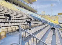  ?? VILLARREAL CF ?? Operarios poniendo a punto el Estadio de la Cerámica ante el Sevilla.