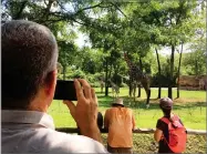  ?? SETH BORENSTEIN ?? U.S. Air Force Col. Mark Henderson of Mississipp­i videoing giraffes at Nashville Zoo on Monday, in early stages of the eclipse in Nashville, Tenn.