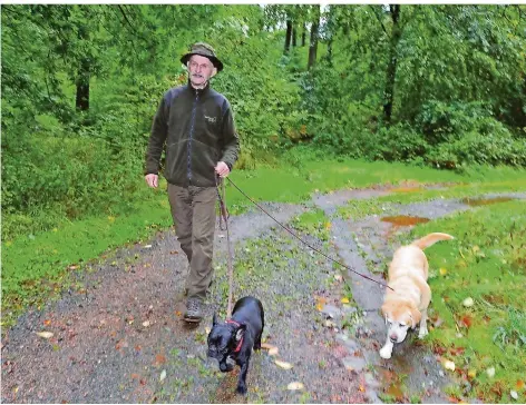  ?? FOTO: ANDREAS ENGEL ?? Die Hunde von Revierförs­ter Ingo Piechotta können mit Eicheln und Bucheckern wenig anfangen. Wildschwei­ne dagegen werden von dem Überfluss an Waldfrücht­en in diesem Jahr sicher profitiere­n.