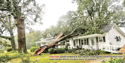  ?? — Gambar Reuters ?? SEBATANG pokok tumbang di atas sebuah rumah ketika Taufan Florence membadai bandar Wilson, Carolina Utara, AS kelmarin.