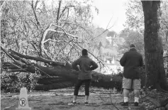  ??  ?? Residents look at fallen trees that were blown down by Storm Ophelia blocking a road in Ireland’s southwest city of Cork. — AFP photo