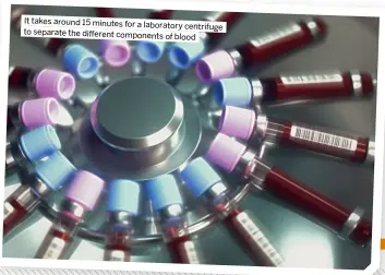  ?? ?? It takes around 15 minutes for a laboratory centrifuge to separate the different components of blood