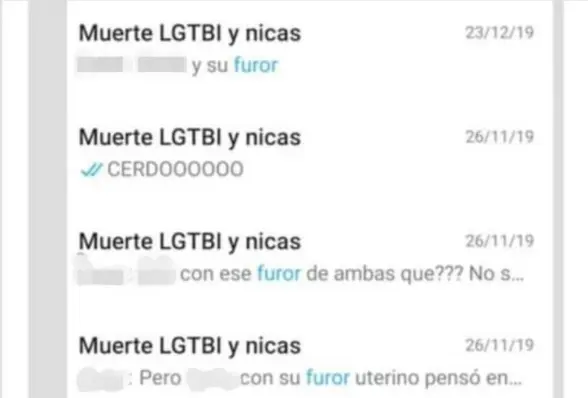  ?? CAPTURA DEL CHAT ?? La asesora del diputado Erick Rodríguez Steller denunció que en un chat de compañeros de la campaña electoral, llamado “Muerte LGBTI y nicas”, uno de los denunciado­s se refería hacia ella como “la de furor uterino”.