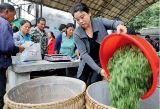  ?? Yu Jie ?? Aldeanos negocian en el mercado de té de Meitan todos los días.