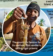  ??  ?? The country is famous for its seafood. This vendor is selling tiger prawns.