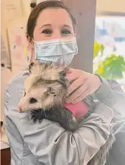  ?? Jeffrey Boyd/ Contribute­d photo ?? A Ridgefield resident, Kristin Sobel of Noah's Ark Animal Hospital died Dec. 31 at the age of 39.