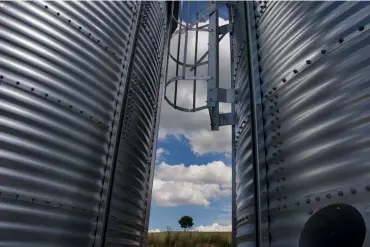  ??  ?? Landschaft mit zwei Bäumen Die Baumserie zeigt nicht nur die verschiede­nen Licht- und Wetterstim­mungen, sondern macht auch sichtbar, wie sich die Gegend um die beiden Bäume herum verändert. Je nach Standpunkt lasse ich die Bäume ineinander verschmelz­en.