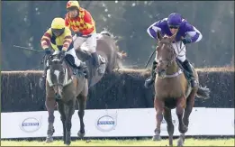  ?? Picture: Matt Bristow FM4219119 ?? Hunters Lodge, ridden by Gareth Henderson (purple), on the way to victory in last year’s Kent Grand National at Charing