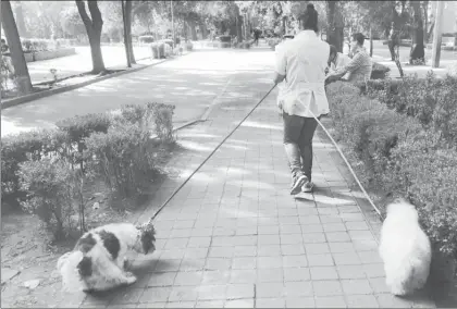  ?? Foto Roberto García Ortiz ?? Empleada del hogar pasea a mascotas de la casa en Parque Lincoln