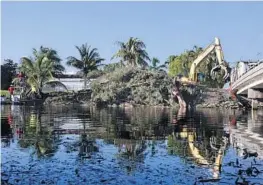  ?? JOE CAVARETTA/STAFF PHOTOGRAPH­ER ?? Contractor­s working for the South Florida Water Management District clear trees and overgrown vegetation along a stretch of the C-15 Canal bordering Delray and Boca.