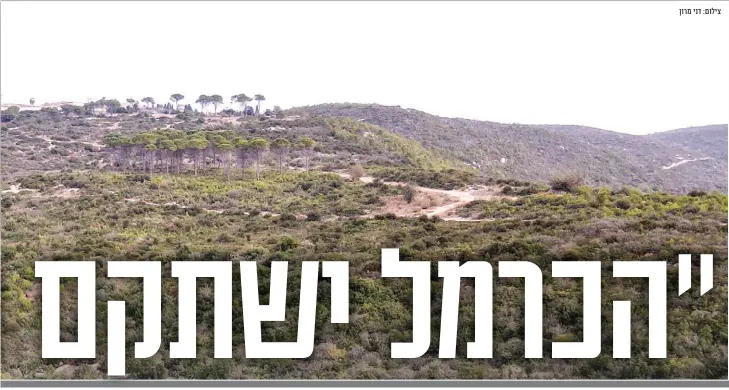  ?? צילום: דני מרון ??