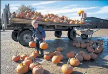  ??  ?? Hudson Wolfe, 4, tries to choose his pumpkin with his aunt Jessie Holly, not pictured, at Anderson Farms on Wednesday in Erie.