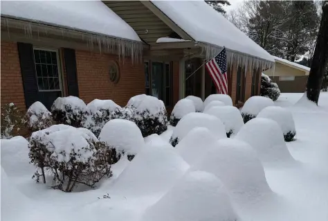  ?? (Pine Bluff Commercial/Byron Tate) ?? Snow blankets the shrubbery in a flower bed in Pine Bluff on Thursday morning.