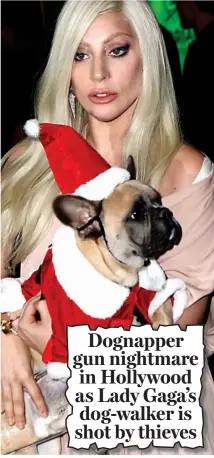  ??  ?? Shock: Lady Gaga with another dog, Stella, in 2015 and (inset) the Mail story yesterday