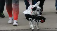  ?? AP/SUE OGROCKI ?? Luna marches with her owner, Carlin George, who was at the state Capitol in Oklahoma City on Thursday to support her mother and other teachers as protests over school funding continued.