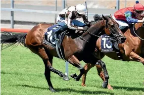  ?? RACE IMAGES NI ?? Levante and rider Ryan Elliot sweep to the lead at Matamata yesterday.