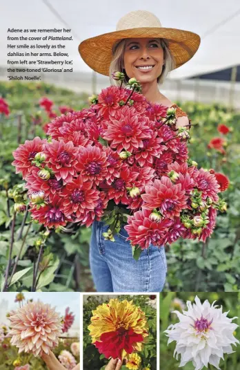  ?? ?? Adene as we remember her from the cover of Platteland. Her smile as lovely as the dahlias in her arms. Below, from left are ‘Strawberry Ice’, the two-toned ‘Gloriosa’ and ‘Shiloh Noelle’.