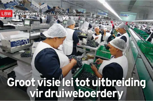  ??  ?? lbotha@landbou.com Twee van die werkers sal druiwe uitknip en korrels meet, terwyl ’n derde spanlid die houers sal vul. Elke kartonhoue­r kry ’n plakker met die pakstasie se nommer en strepiesko­de. Groot skerms teen die muur dui op elke pakstasie se produktiwi­teit.