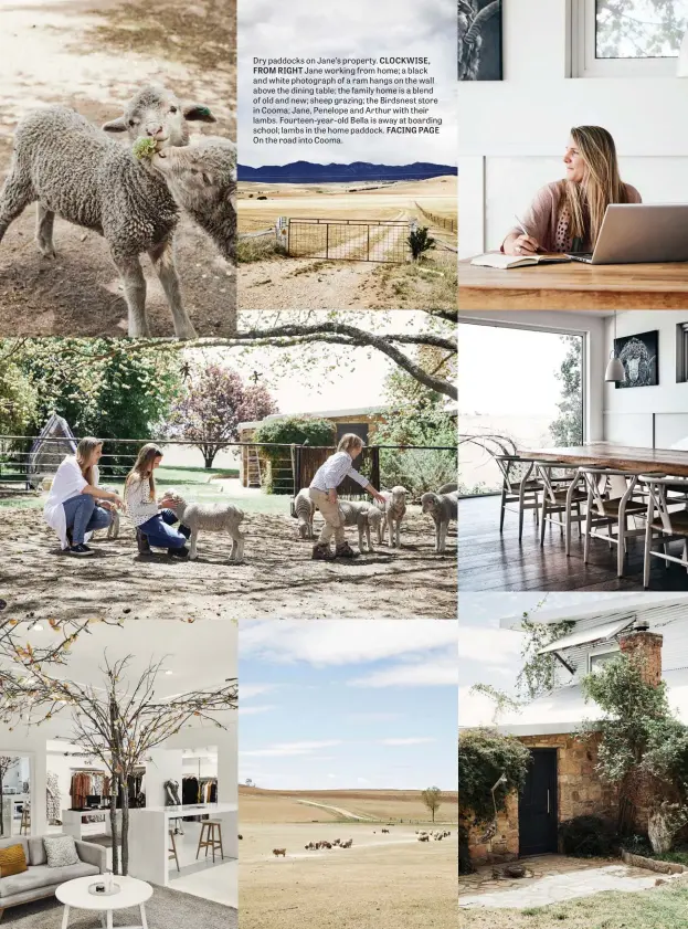  ??  ?? Dry paddocks on Jane’s property. CLOCKWISE, FROM RIGHT Jane working from home; a black and white photograph of a ram hangs on the wall above the dining table; the family home is a blend of old and new; sheep grazing; the Birdsnest store in Cooma; Jane, Penelope and Arthur with their lambs. Fourteen-year-old Bella is away at boarding school; lambs in the home paddock. FACING PAGE On the road into Cooma.