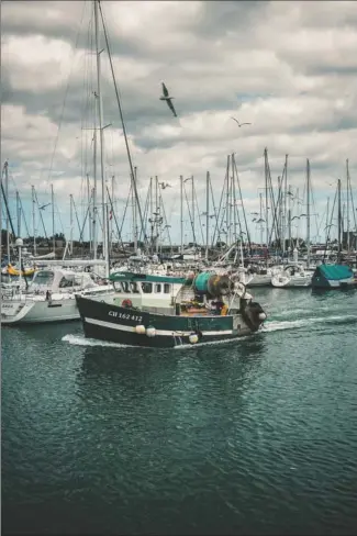  ?? COURTESY PHOTO ?? Fishing boats tied up and anchored on the California coast.