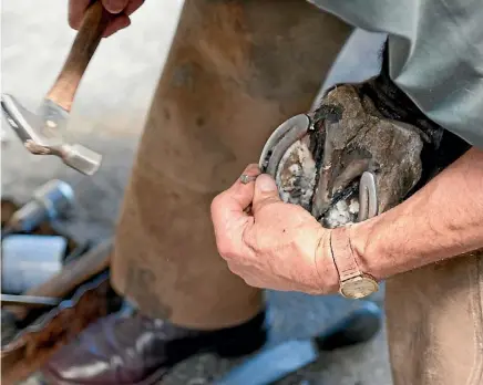  ??  ?? The first farrier competitio­n at Equidays will be held this year.