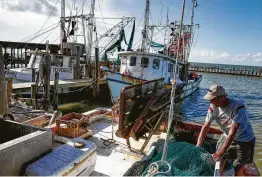  ?? Michael Ciaglo / Staff photograph­er ?? Shrimper Roy Lee Cannon, 74, has enjoyed making a living off the bounty of Galveston Bay for 44 years but now fears for its future health.