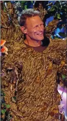  ??  ?? ‘BONKERS’: Teddy Sheringham in a tree outfit on ITV’s The Masked Singer
