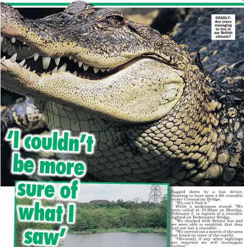  ??  ?? DEADLY: Are crocs managing to live in our British climate?