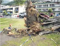  ?? PHOTOS: TRACEY ROXBURGH ?? Liability litigated . . . Queenstown’s Lakeside Motel, owned by Plaza Investment­s Ltd, was damaged after a Lombardy poplar in St Omer Park (above) fell in 2014. Right: Damage to the Lakeside Motel and a car after the poplar fell in high winds.