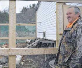  ?? KyLe GreeNhAM / The NorTherN PeN ?? Trevor Larkham watches over the hens and roosters he has kept fed in William’s Harbour for the past two years. He will soon be gathering the birds to take to a new home in Port Hope Simpson, but like some others, his love of the town will keep him...