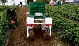  ??  ?? ABOVE A University of Lincoln robot saves time and effort by carrying crates