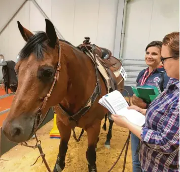  ?? Foto: Andrea Bogenreuth­er ?? Die Amtstierär­ztinnen Dr. Felicitas Allmann (vorne) und Dr. Astrid Krischak kontrollie­ren den Pass des 15-jährigen Quarter-Horse-Wallachs „The One In Silk“, der bei der Americana in einigen Turnierdis­ziplinen geritten wird.