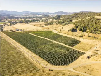  ??  ?? ***
Hine Ranch in Pope Valley, owned by Xavier Cervantes, is lined with vineyards, above. Andy Erickson, left, is the winemaker at Hine Ranch. Cervantes spent a long time trying to buy property in Wine Country, and after seven years, he purchased the...