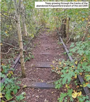  ?? ?? Trees growing through the tracks of the abandoned Kingswinfo­rd branch of the old GWR