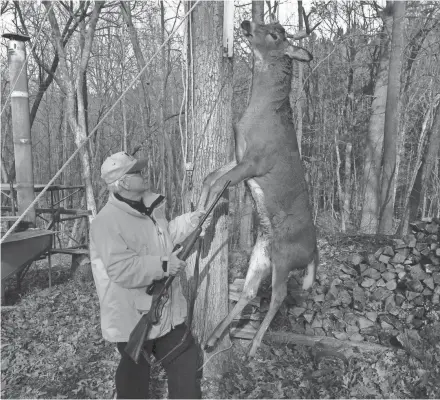  ??  ?? Wisconsin hunters are preparing for the 2018 nine-day gun deer season.