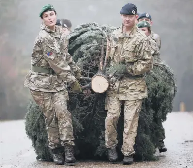 ?? PICTURE: JONATHAN GAWTHORPE. ?? BRANCHING OUT: Soldiers from Claro Army barracks help to manoeuvre a 20ft Christmas tree into position at Fountains Abbey. It will remain outside the Abbey – one of the best preserved in England – throughout the festive season.