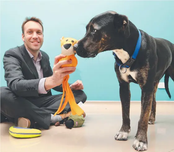  ?? Picture: GLENN HAMPSON ?? After a busy 12 months, National Veterinary Care managing director Tomas Steenacker­s says the year ahead is a time for consolidat­ion.