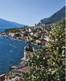  ??  ?? Lemon trees from the breathtaki­ng small town of Limone sul Garda, Italy.