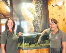  ?? Photo: Yaseen Gaffar ?? Honorary ranger Delle Henry and environmen­tal monitor Jene Conradie at the seahorse tank in the Sanparks offices on Thesen Island.