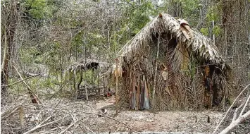  ??  ?? Der Eingeboren­e lebt in einer Hütte aus Stroh, ringsum baut er Maniok, Mais und Papaya an.