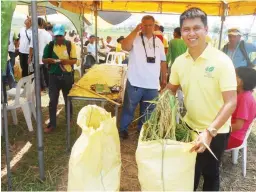  ??  ?? FRESH PANICLES – Eric Pungan, owner of the farm used by Dennis Miguel to grow his SRI rice, holds panicles of the rice harvested by representa­tives of PhilRica and the Department of Agricultur­e in Region 2. The variety used is Bigante from Bayer...