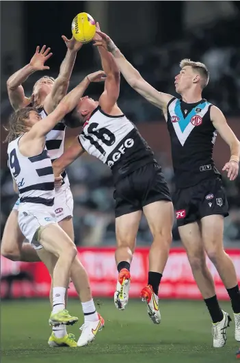  ?? Image/Matt Turner.
Photo by AAP ?? Cameron Guthrie and Mark Blicavs of the Cats clash with Port Power’s Ollie Wines (originally from Echuca) and Todd Marshall in Friday night’s game.
