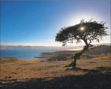  ?? Photograph­s by Brian van der Brug Los Angeles Times ?? THE SAN LUIS Reservoir, part of the Central Valley Project, in 2014. Permanent entitlemen­t would allow Westlands Water District to make lucrative water sales to thirsty cities and other agricultur­al agencies.