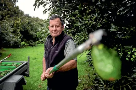  ?? PHOTOS: ANDY JACKSON/STUFF ?? Donald Johnson operates an honesty box for avocados on New Plymouth’s Airport Drive. Though the cash left does not match sales every day, he says it usually levels out.