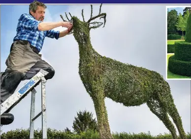  ??  ?? CLIP SERVICE: A topiary expert creates an elaborate deer, left.