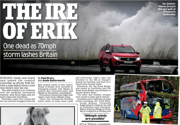  ??  ?? Crushed: A tree was blown through a bus window in Poole No shelter: Waves breach the sea wall at Prestwick yesterday