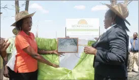  ??  ?? Ms Unaiswi Nyikadzino Schweppes head of marketing and public relations (left) and JMN Polytechni­c principal Dr Ngoni Moyo unveil a plaque infront of the commission­ed borehole at Gwanda JMN (Zintec) campus last Friday