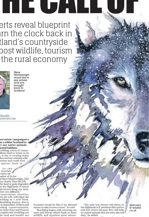  ??  ?? Steve Micklewrig­ht would like to see wolves and lynx brought back to Scotland Wolf print © wayfair. co.uk