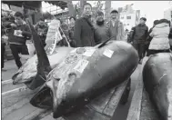  ?? TORU HANAI / REUTERS ?? People pose for a photograph with a 405-kg bluefin tuna outside Tsukiji fish market in Tokyo, Japan, on Friday.